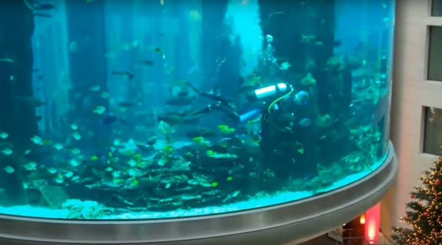 Zobacz największe akwarium na świecie