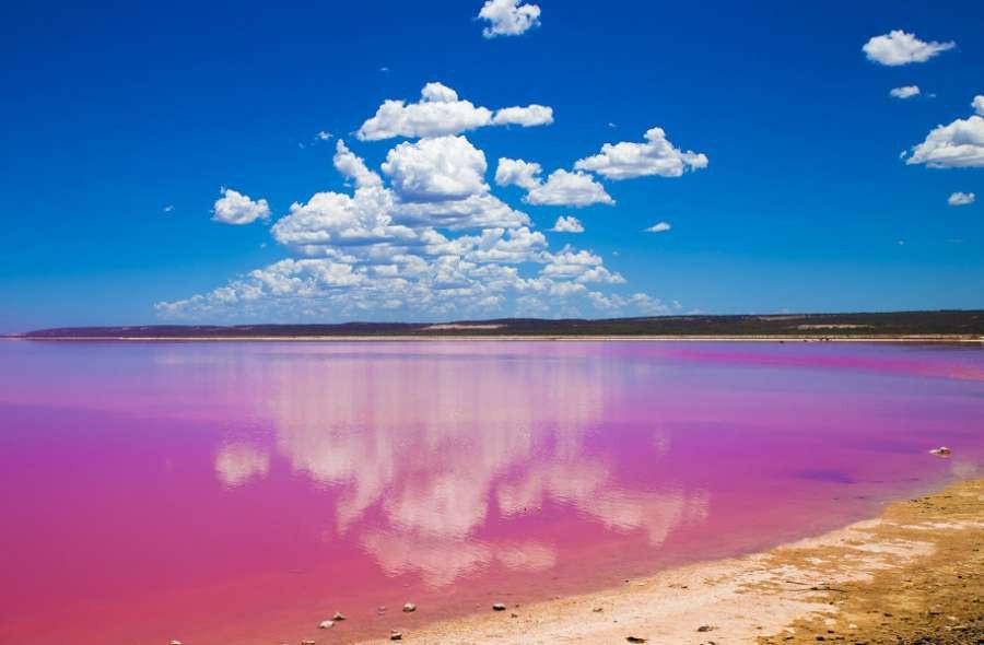 Jezioro w Australii zabarwiło się na różowo!