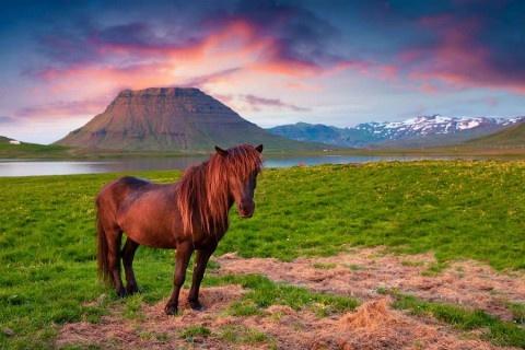 Władze Islandii obawiają się coraz większego zainteresowania ich krajem. Chcą trochę odstraszyć turystów. Czy będzie tam jeszcze drożej?