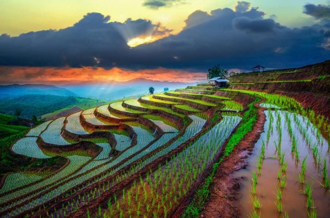 Tajlandia-Terraced-Paddy-Field-in-Mae-Jam-Village--Chaingmai-Province--Thailand-shutterstock_279311915-1