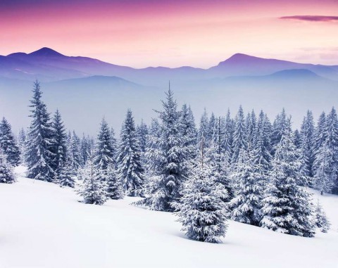 zima-choinki-bigstock-Fantastic-evening-winter-lands-1200