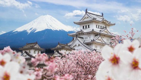 Himeji-Castle-and-full-cherry-blossom-with-Fuji-mountain-background-Japan-shutterstock_601341215