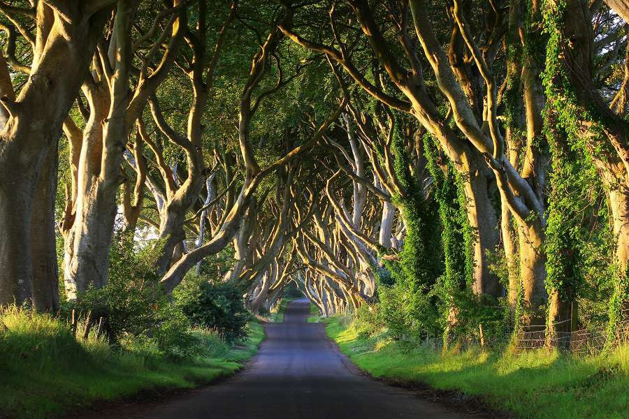 12 niesamowitych miejsc w Irlandii na dzień św. Patryka
