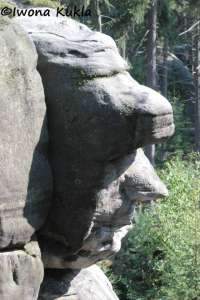 b2ap3_thumbnail_6.jpg