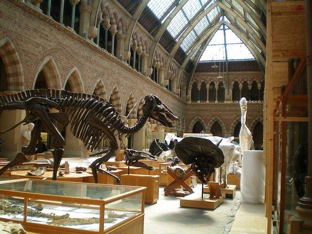 b2ap3_thumbnail_oxford-144135_640.jpg
