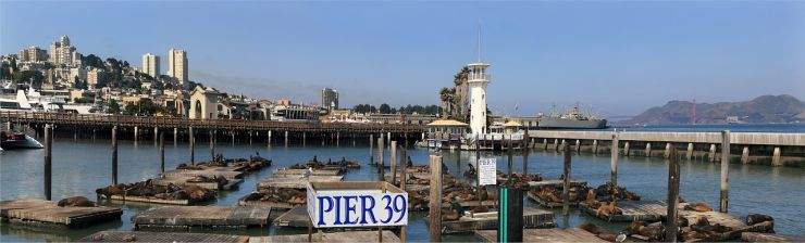 b2ap3_thumbnail_sea-lions-670223_1280.jpg