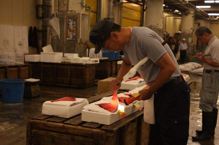 b2ap3_thumbnail_Tsukiji-IMG_7239-A.jpg