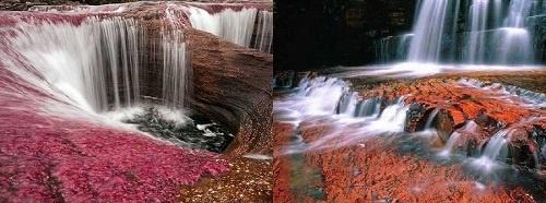 Cano Cristales, rzeka pięciu kolorów