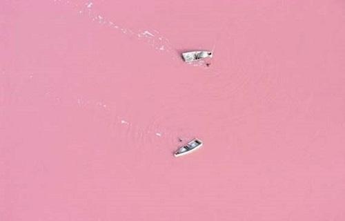 różowe jezioro