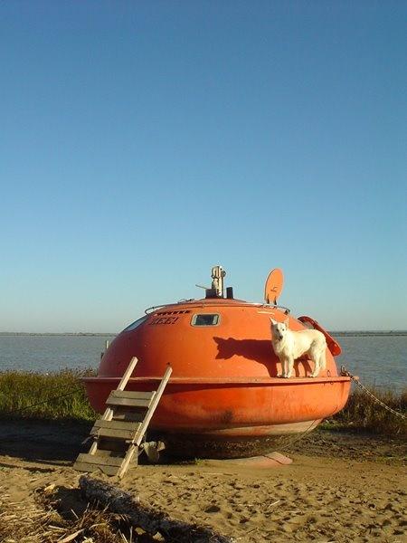 Capsule_Holland_2