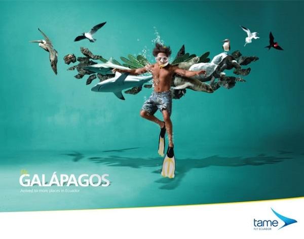 tame-fly-ecuador reklama