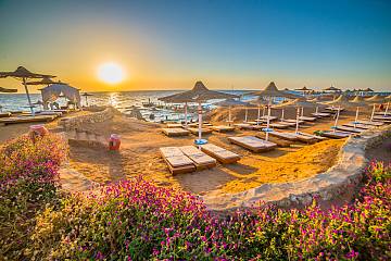 Egipt all inclusive w lipcu z Katowic w supercenie! Tydzień w Marsa Alam w 5 ⭐ hotelu tuż przy rafie!🐠