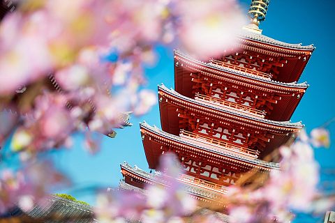 Tokio, Japonia