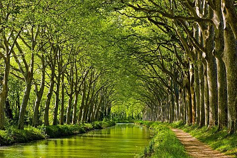 Tuluza, Francja