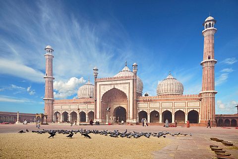 Delhi, Indie