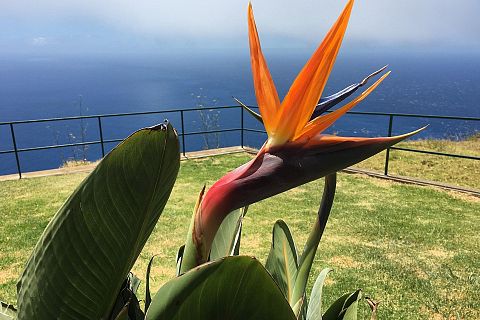 Funchal, Portugalia