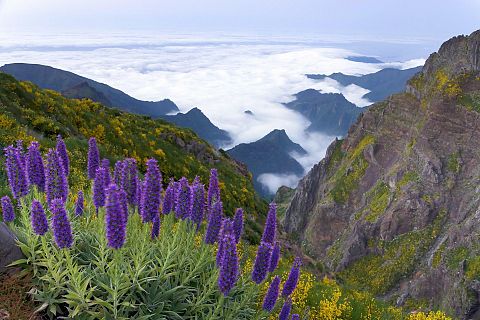 Funchal, Portugalia