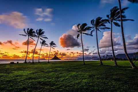 Honolulu, USA