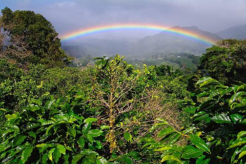Panama, Panama