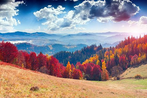 Ukraina