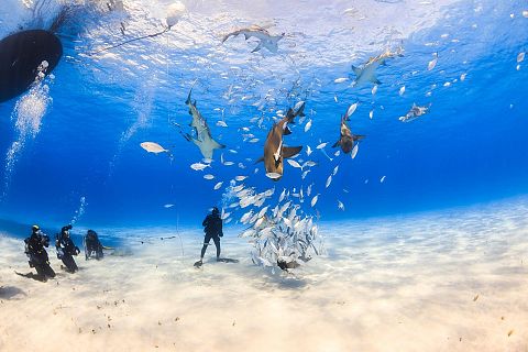 Nassau, Bahamy