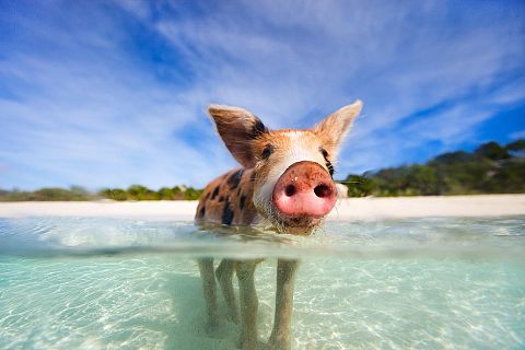 Nassau, Bahamy