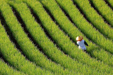 Bali, Indonezja