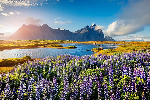 Islandia