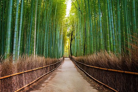 Sapporo, Japonia