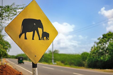 Sri Lanka