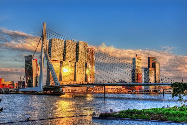 Panorama Rotterdamu z mostem Erasmusbrug nad rzeką Nieuwe Maas