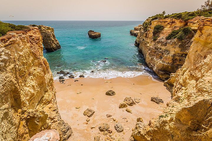 Faro