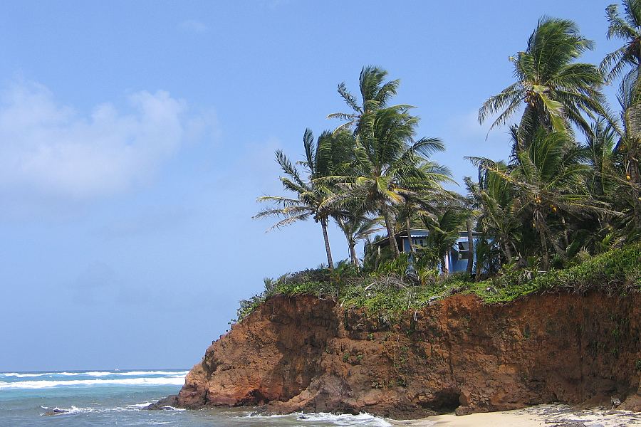 Wybrzeże Little Corn Island w Nikaragui z palmami na skalistym brzegu