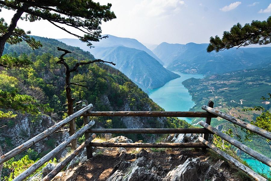 Widok na kanion Driny z punktu Banjska Stena w Serbii