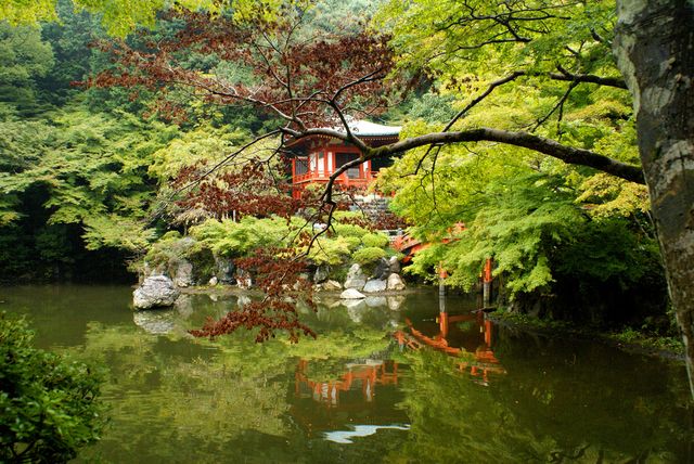 Japonia