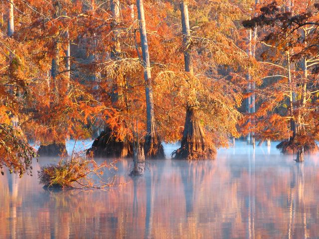 Mississippi