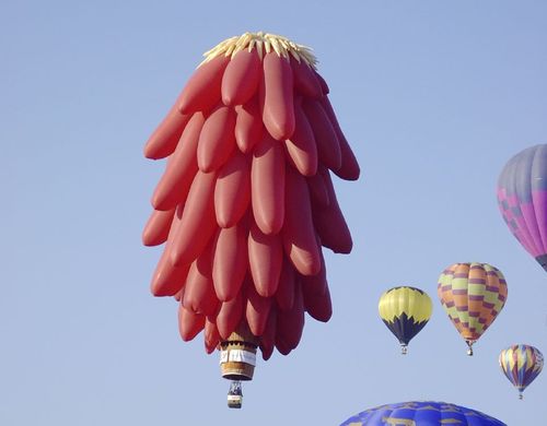 balony06 balony06
