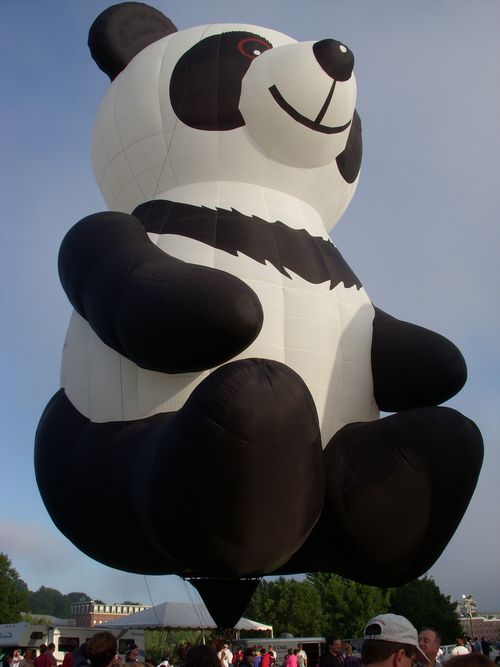 balony13 balony13